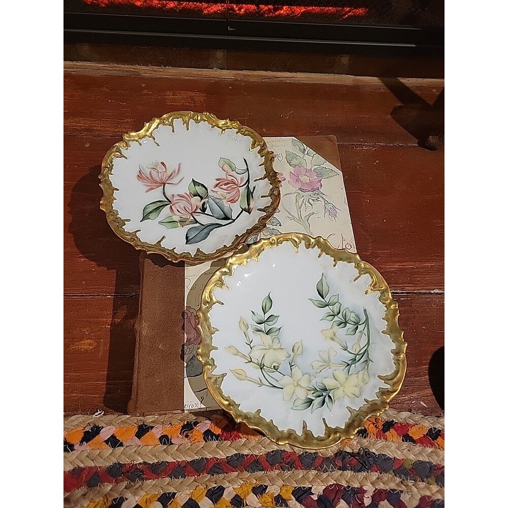 Set Of 2 Limoges France Handpainted Signed Plates 8" Spider Lily Dogwood